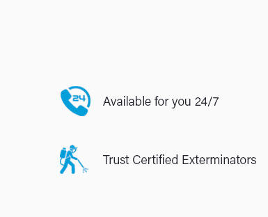 Pest Control Paducah Ky 🥇 Jan 2025